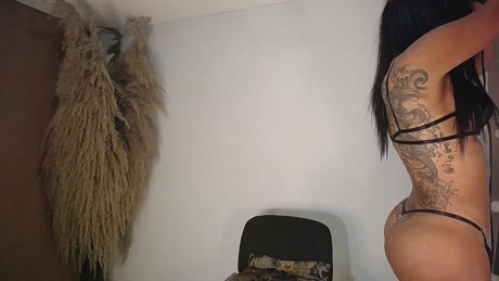 kittyhotts  25-02-2022